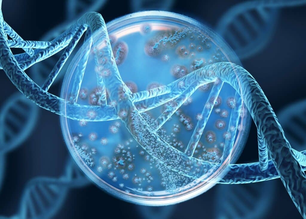 Scientific glass Petri dish with mold